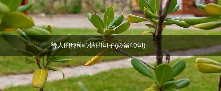 等人的那种心情的句子(必备40句),第1张