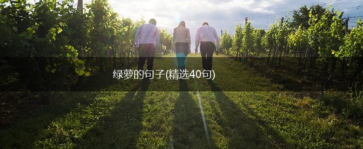 绿萝的句子(精选40句),第1张