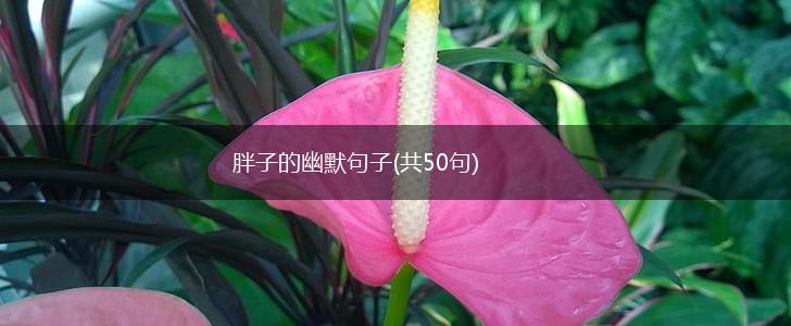 胖子的幽默句子(共50句),第1张