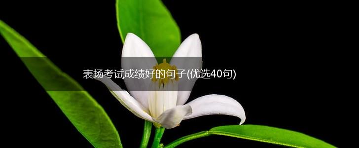 表扬考试成绩好的句子(优选40句),第1张