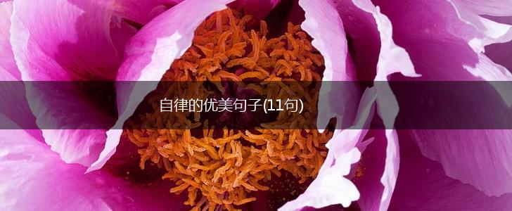 自律的优美句子(11句),第1张