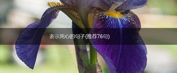 表示死心的句子(推荐76句),第1张