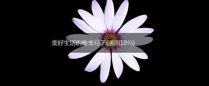 美好生活的唯美句子(通用10句),第1张