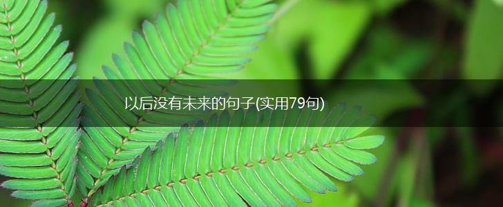 以后没有未来的句子(实用79句),第1张