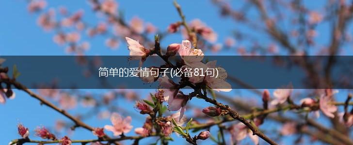 简单的爱情句子(必备81句),第1张