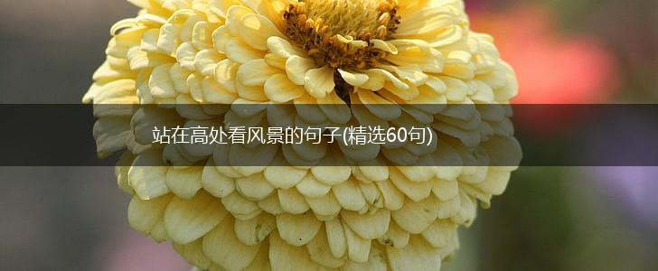 站在高处看风景的句子(精选60句),第1张