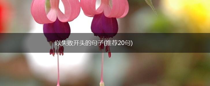 以失败开头的句子(推荐20句),第1张