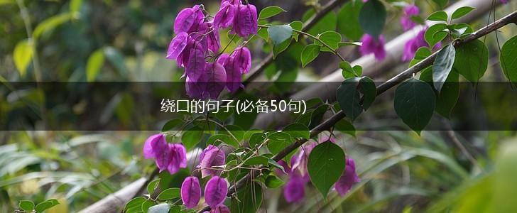 绕口的句子(必备50句),第1张