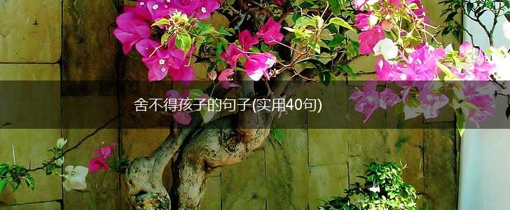 舍不得孩子的句子(实用40句),第1张