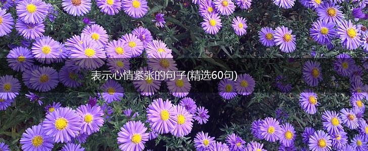 表示心情紧张的句子(精选60句),第1张