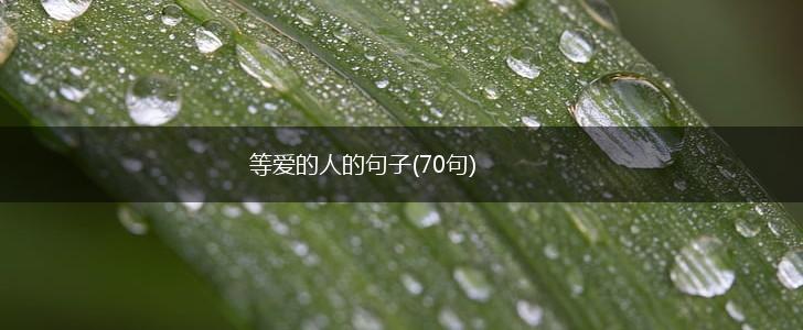 等爱的人的句子(70句),第1张