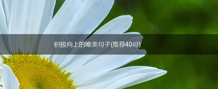 积极向上的唯美句子(推荐40句),第1张