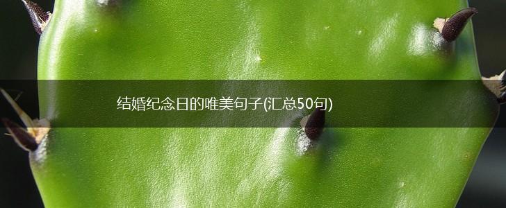 结婚纪念日的唯美句子(汇总50句),第1张 结婚纪念日的唯美句子(汇总50句),第1张