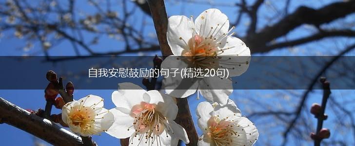 自我安慰鼓励的句子(精选20句),第1张