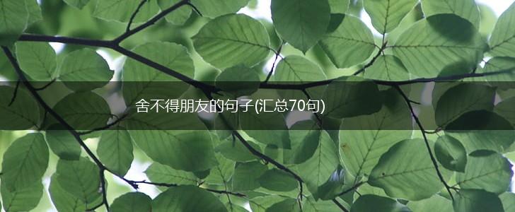 舍不得朋友的句子(汇总70句),第1张