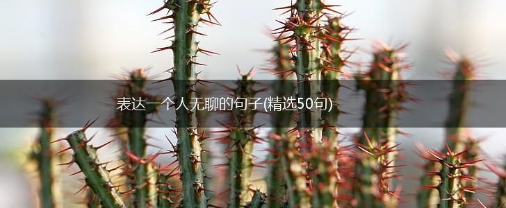 表达一个人无聊的句子(精选50句),第1张