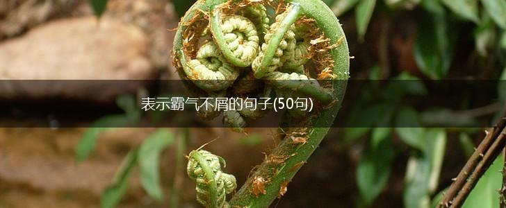 表示霸气不屑的句子(50句),第1张