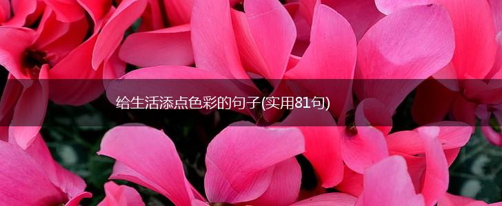 给生活添点色彩的句子(实用81句),第1张