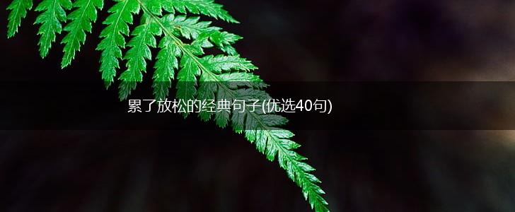 累了放松的经典句子(优选40句),第1张