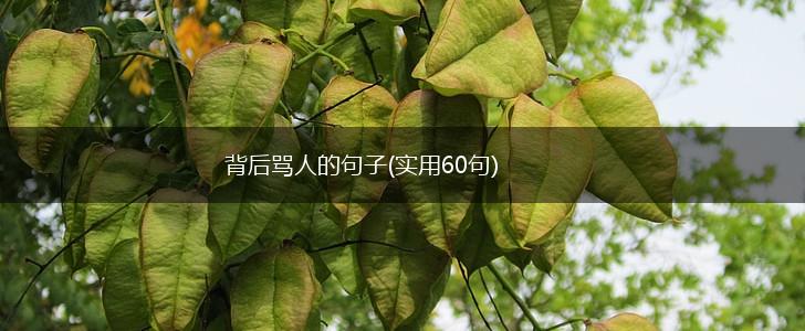 背后骂人的句子(实用60句),第1张