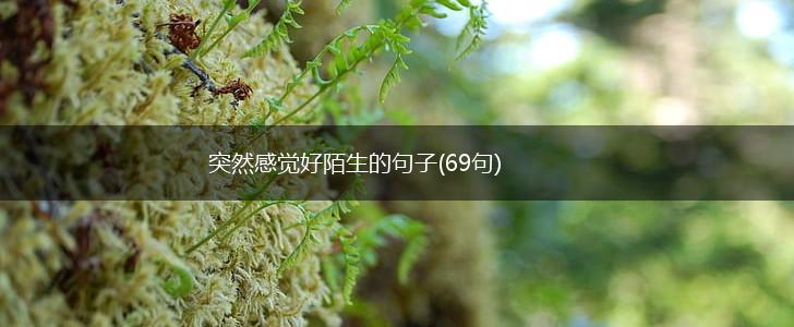突然感觉好陌生的句子(69句),第1张