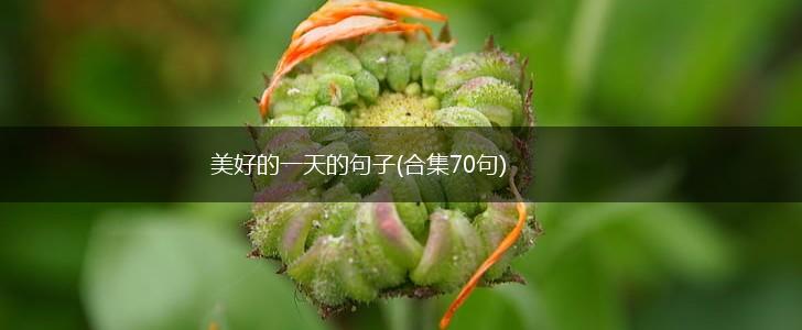 美好的一天的句子(合集70句),第1张