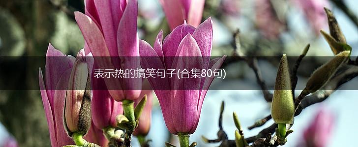 表示热的搞笑句子(合集80句),第1张