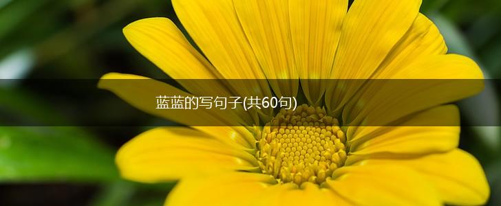 蓝蓝的写句子(共60句),第1张