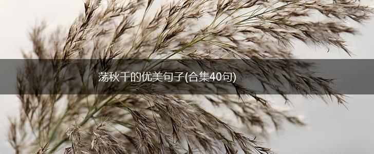 荡秋千的优美句子(合集40句),第1张