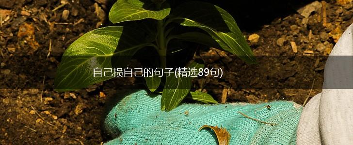 自己损自己的句子(精选89句),第1张