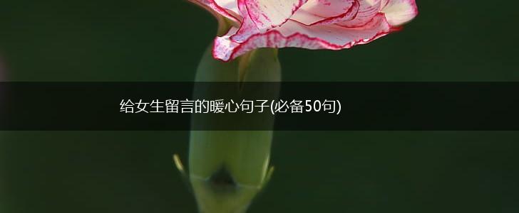 给女生留言的暖心句子(必备50句),第1张