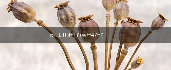练口才的句子(实用47句),第1张