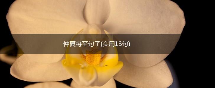 仲夏将至句子(实用13句),第1张