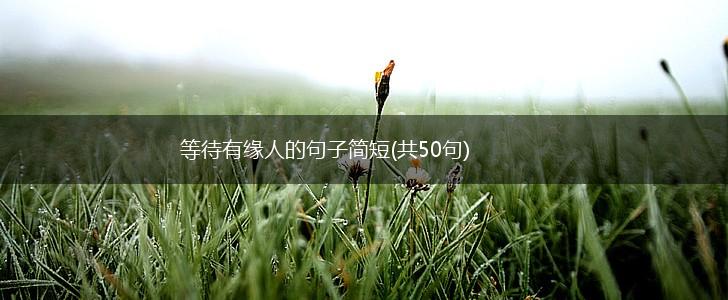 等待有缘人的句子简短(共50句),第1张