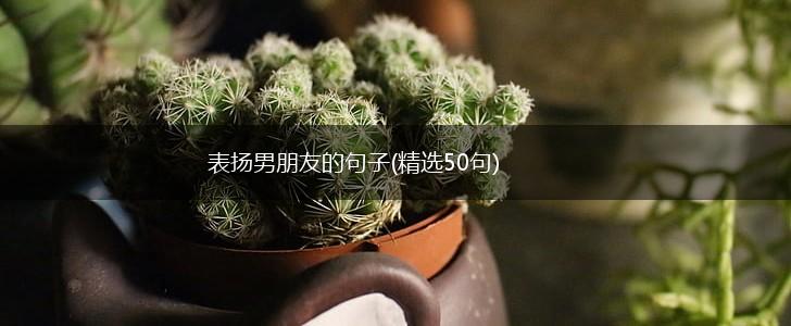 表扬男朋友的句子(精选50句),第1张