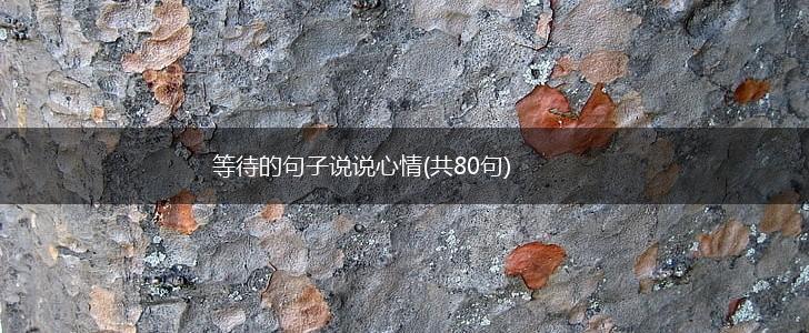 等待的句子说说心情(共80句),第1张