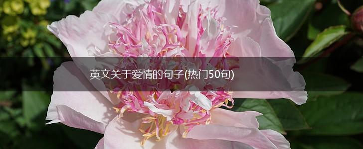 英文关于爱情的句子(热门50句),第1张