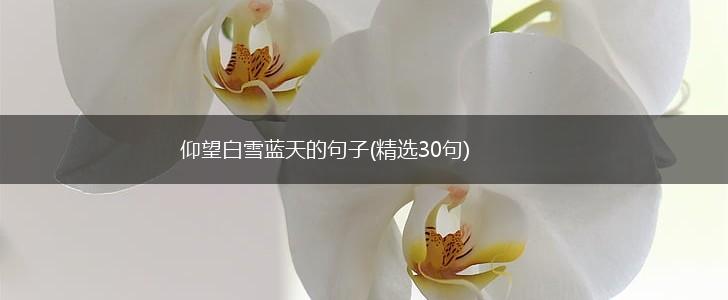 仰望白雪蓝天的句子(精选30句),第1张