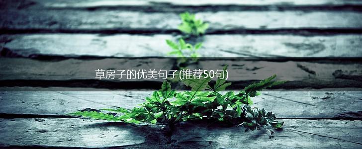 草房子的优美句子(推荐50句),第1张
