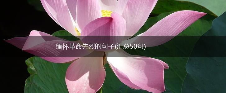 缅怀革命先烈的句子(汇总50句),第1张