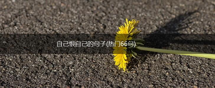 自己恨自己的句子(热门66句),第1张 自己恨自己的句子(热门66句),第1张