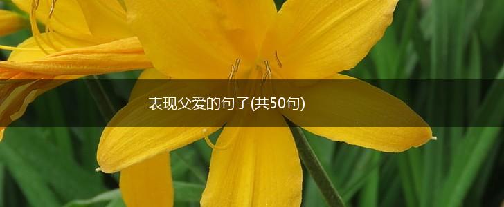 表现父爱的句子(共50句),第1张