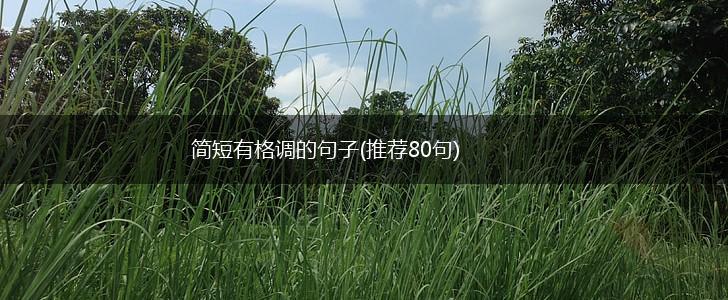 简短有格调的句子(推荐80句),第1张