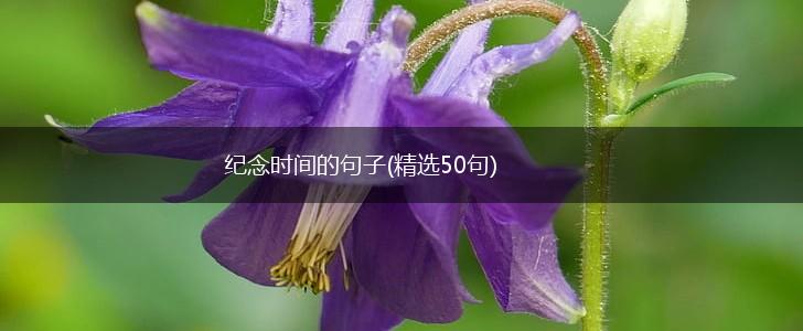 纪念时间的句子(精选50句),第1张