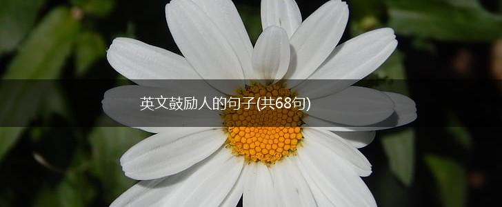 英文鼓励人的句子(共68句),第1张
