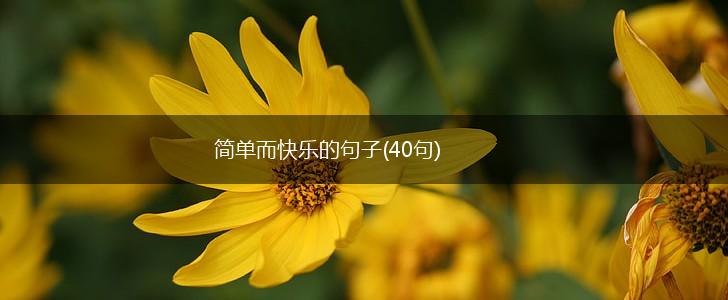 简单而快乐的句子(40句),第1张