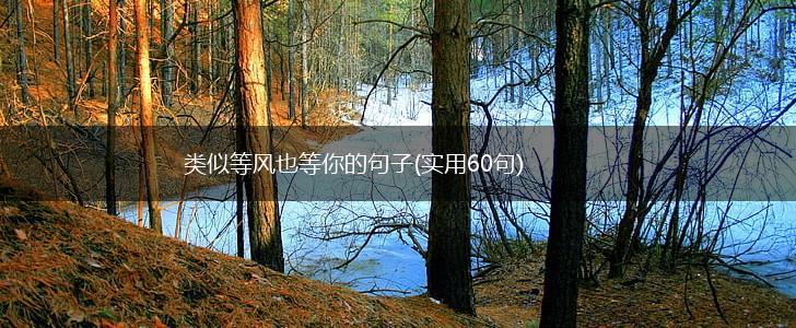 类似等风也等你的句子(实用60句),第1张