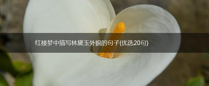 红楼梦中描写林黛玉外貌的句子(优选20句),第1张