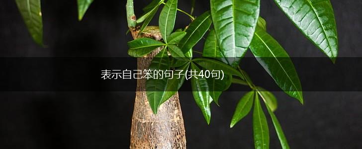 表示自己笨的句子(共40句),第1张