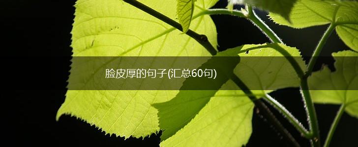 脸皮厚的句子(汇总60句),第1张
